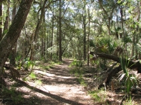 Bulow Creek Trail